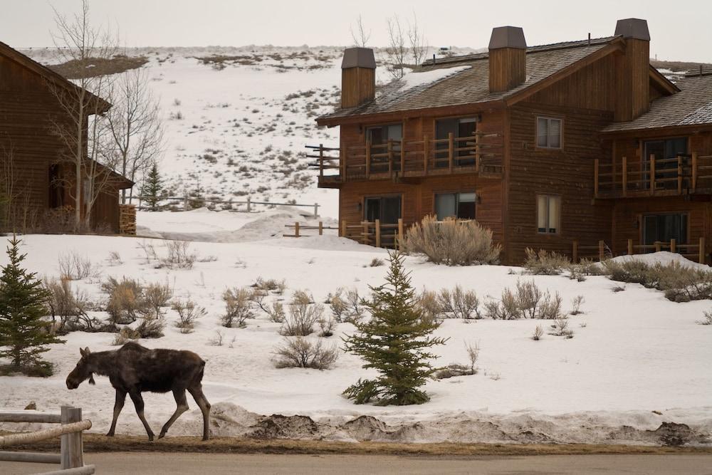 Spring Creek Ranch Jackson Exterior foto